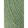 Friendly Yarn Eucalyptus Green| Bobbiny
